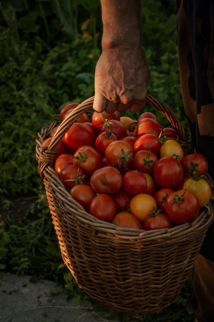 potager