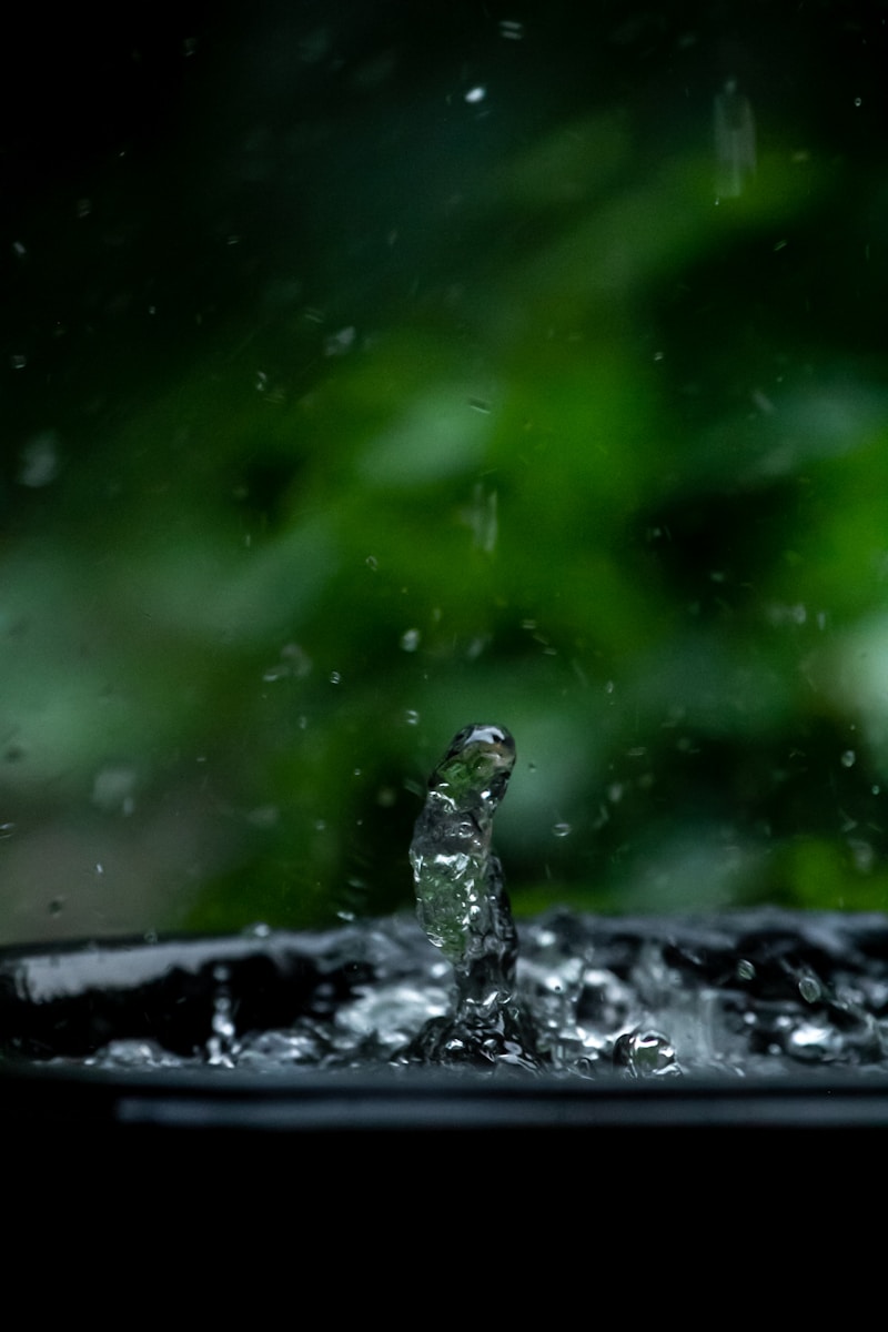 récupération eau de pluie