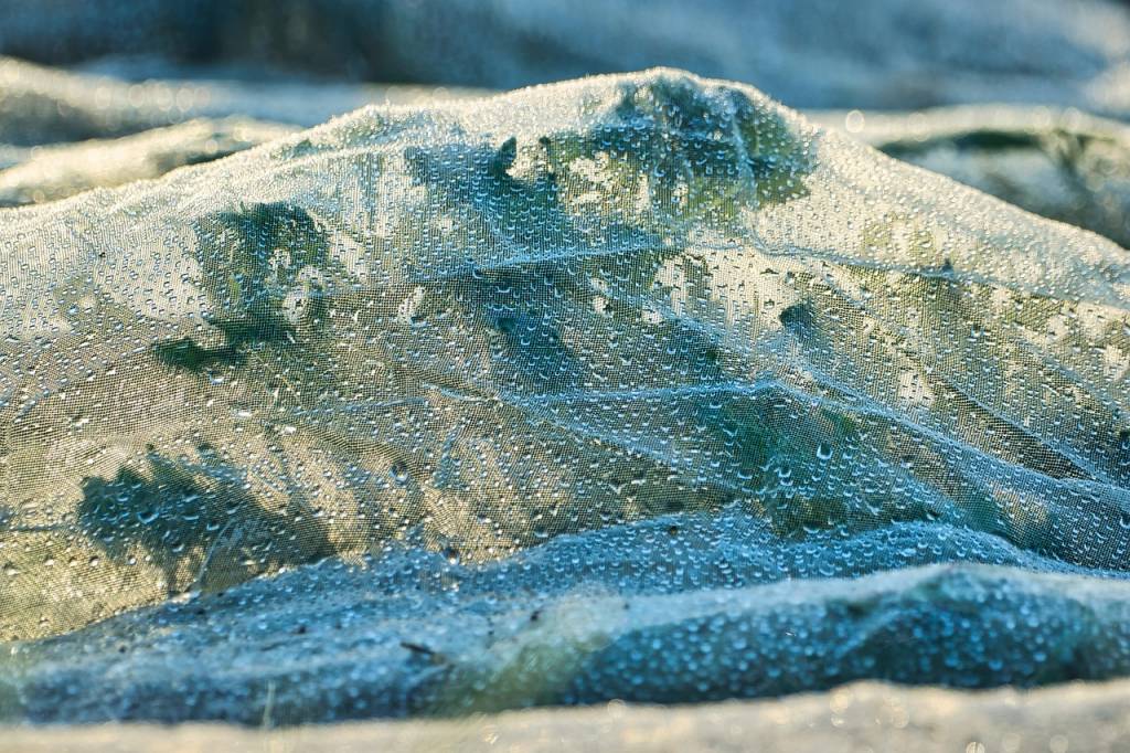 Quand installer une voile de protection contre le gel au jardin